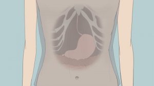 [VORE] Not a snack shelf