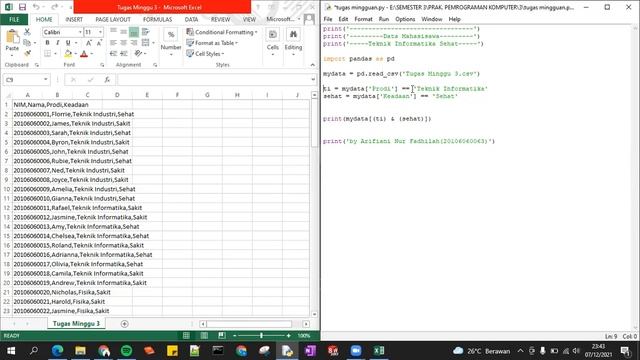 PROGRAM FILTER DATA EXCEL MENGGUNAKAN PYTHON смотреть онлайн