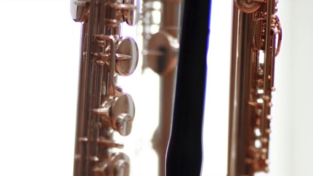 @ionbogdanstefanescu Violeta Dinescu Șarpelecupene III for alto flute & 16 flutes смотреть онлайн