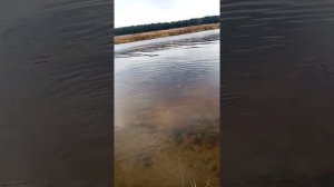 рыбалка на реке Тверца, Тверская губерния