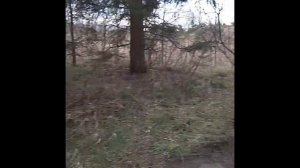 Хагенов вч 83058 (84-86гг) - 04.03.2020