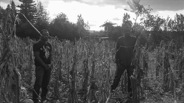 Vale Of Amonition - Of A Painting Grim (The Apostle Gray And The Harvest Black) смотреть онлайн