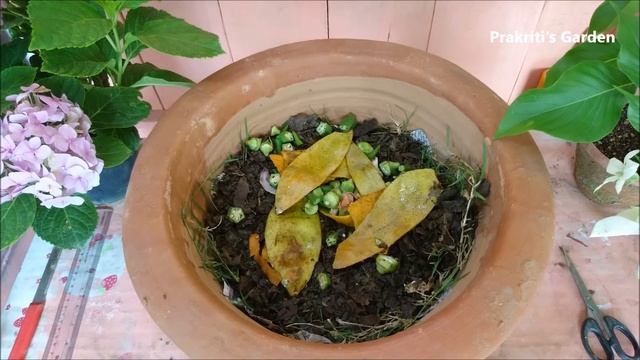 How to make COMPOST at home with kitchen & garden waste: कम्पोस्ट बनाएं घर पर смотреть онлайн