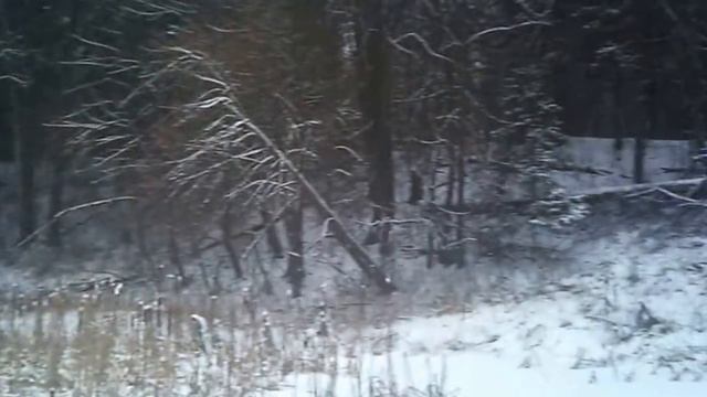 Вязёмка большая. Плотина у пионерского лагеря смотреть онлайн