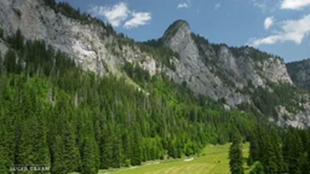 Успокаивающая музыка для нервов ? лечебная музыка для сердца, релакс, музыка для души смотреть онлайн