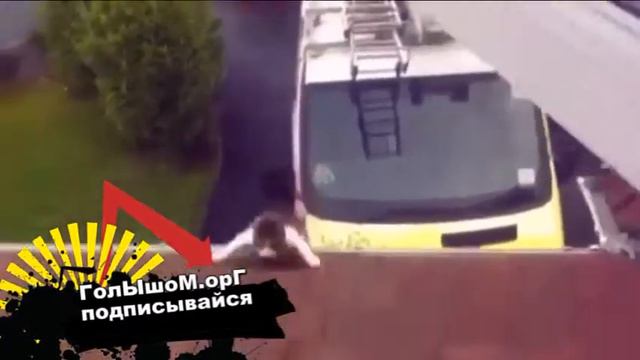 Подборка приколов с котами 2014 смотреть онлайн