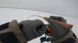 Сылва . Судак из под бели..mp4