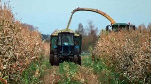 Уборка силоса 2018