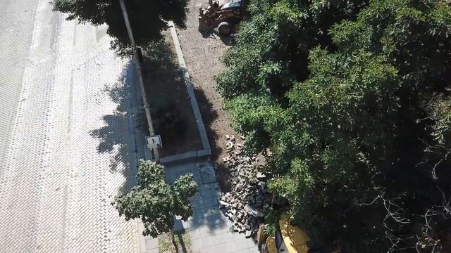 ЖЪЛТИTE ПАВЕТА - Пренареждане смотреть онлайн