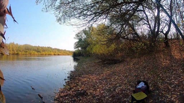 НА ДЖИГ С БЕРЕГА! ОТЛИЧНАЯ РЫБАЛКА!!! Пешком по Ахтубе. смотреть онлайн