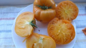 Вкуснейшие томаты Любимый Шиллинберга Энди страйп Ювель Южная гордость Черное сердце Америки,Черри