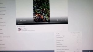 как скачать видео из сообщения вконтакте на компьютер или телефон