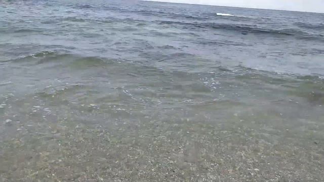 Рыбалка Девушка против морской горбуши о. Сахалин смотреть онлайн