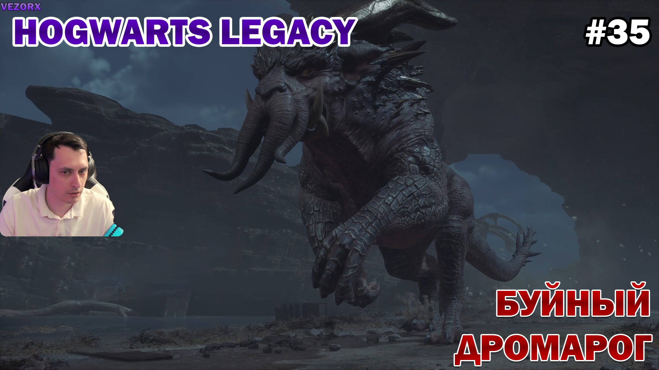 НАРУШИЛ СОН ДРОМАРОГА! ► Hogwarts Legacy #35 смотреть онлайн