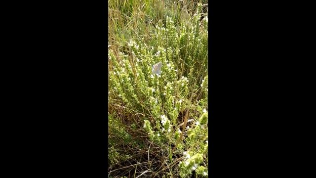 ПОЕЗДКА.Украина 2018(14августа)/ЗАПОРОЖЬЕ/#Дача моего ДЕТСТВА(часть2)//ElDiFamily смотреть онлайн