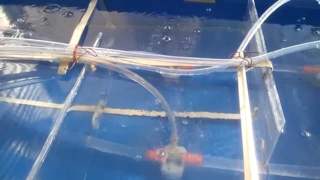 Самодельная гидропонная установка на 35 л. с бомбовскими распылителями. смотреть онлайн