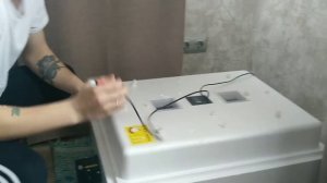 Инкубатор НЕСУШКА 104 яйца (БИ1-БИ2) ОПЫТ. Открытие НОВОГО сезона. ПЕРВЫЕ #цыплята 2020