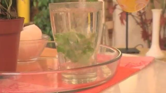Настой плюща. Помощь при конъюнктивите смотреть онлайн