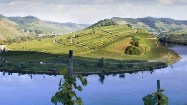 FIFA Online2 Error смотреть онлайн