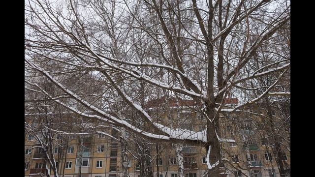 Winter in Russia on CANON PowerShot G9X MK II смотреть онлайн