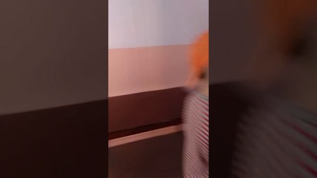 Лагерь "Красная гвоздика", Сысерть смотреть онлайн