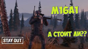 🎥А стоит ли???⚡М16А1⚡STAY OUT