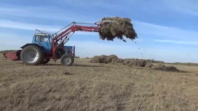 Сильнее МТЗ 80 только трактор Беларусь. Везёт 2 Арбы и 1 прицеп. смотреть онлайн