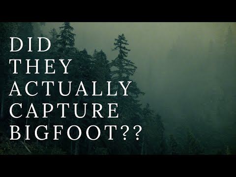 THE BIGFOOT STORY YOU SHOULD NEVER BELIEVE смотреть онлайн