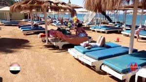«Albatros Aqua Park» (Шарм) ПОЛНЫЙ ОБЗОР  - ТЕРРИТОРИЯ, ГОРКИ, НОМЕР, ПЛЯЖ, РЫБКИ, ШВЕДСКИЙ СТОЛ.