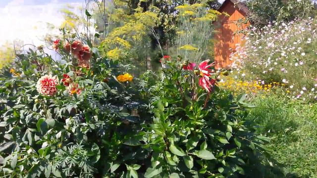 Еще раз про цветы 6 августа 2016 года смотреть онлайн