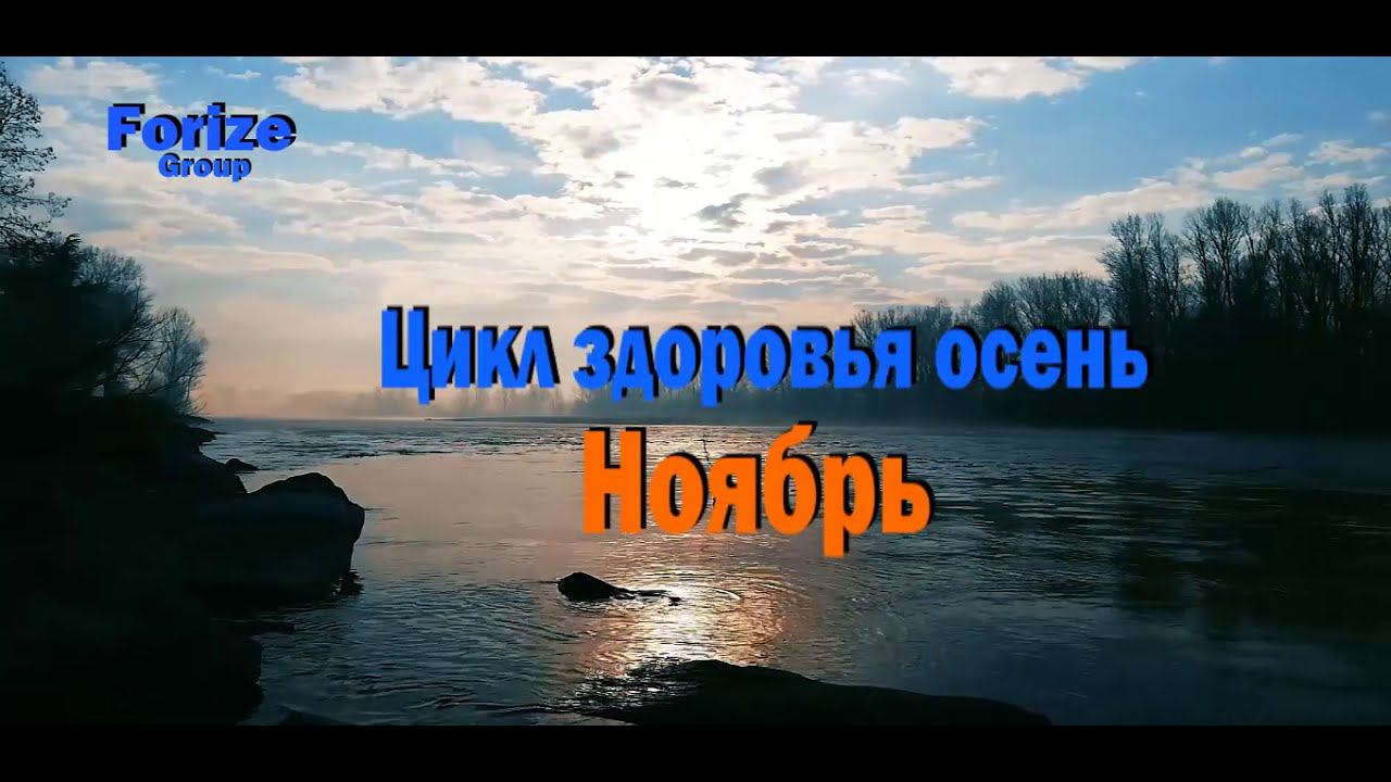 FORISE GROUP. Как укрепить иммунитет осенью? Врач Рудин Павел.