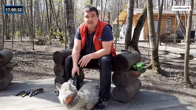 Уход за хаски смотреть онлайн