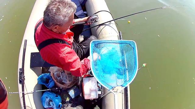 Дон, Елизаветинская 5 июня 2016 смотреть онлайн