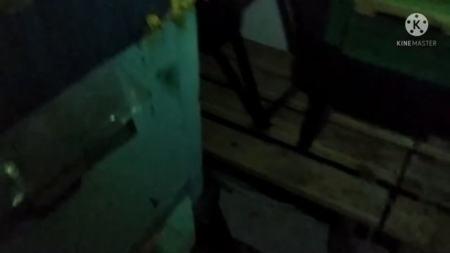 Зимовка пчёл. Пчёлы в омшанике. День второй!!! ? смотреть онлайн