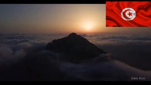 Факты про Тунис