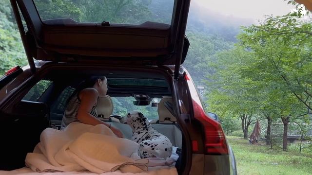 홀로, 쏟아지는 폭우☔ 계곡은 역대급..!👙 고립..? 폭우 차박🚚🌊 오지 신비의 숲에서 우중 캠핑. 비내리는 ASMR 계곡 물소리는 덤!⭐I 노지 캠핑은 쿠밍 смотреть онлайн
