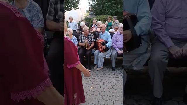 Веселимся под гармонь. Гомель. смотреть онлайн