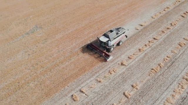 T500 — минимальные потери смотреть онлайн