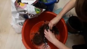 Аквариумные растения садим в горшочки с землей.