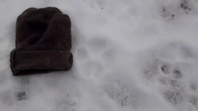 Следы волка. смотреть онлайн