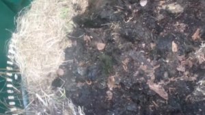 Компостер Волнуша 1000л!!! Загрузка