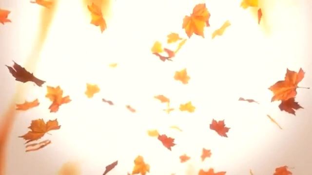 Осень - начало новой жизни. Змфира Справедливая (автор) смотреть онлайн