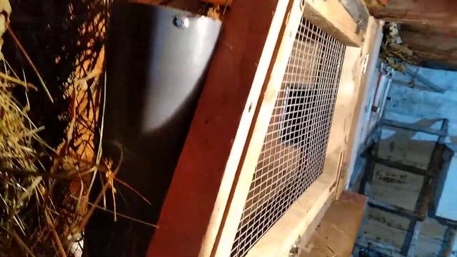 Кормушки для кроликов смотреть онлайн