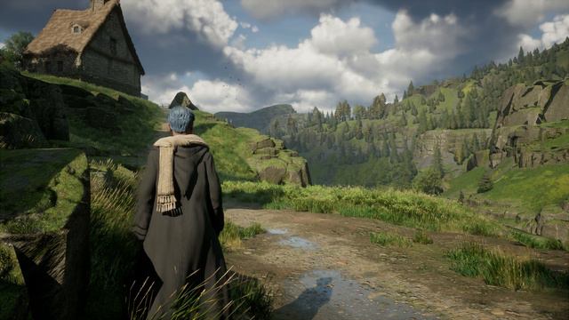 Hogwarts Legacy screensaver with music by Live feat Dolphins Cry (acoustic) смотреть онлайн