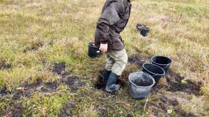 Как правильно посадить Сибирский кедр? & Корейский кедр?