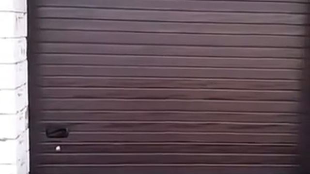 Секционные гаражные ворота Ryterna в Перми смотреть онлайн