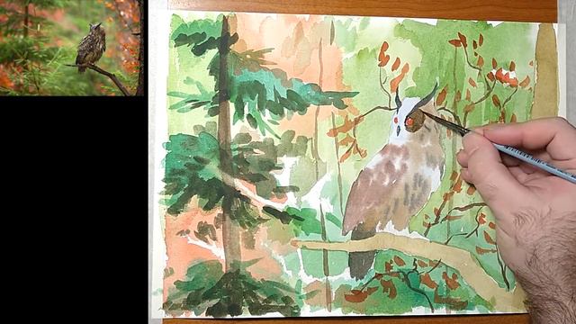 сова акварель смотреть онлайн