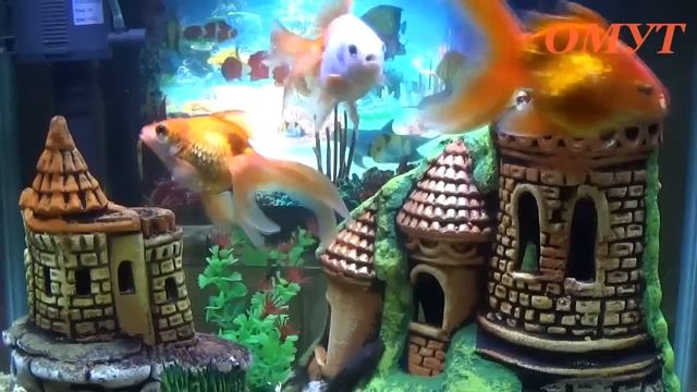 420. ПОГОВОРИМ НЕМНОЖКО ОБО ВСЁМ...(часть 2) смотреть онлайн