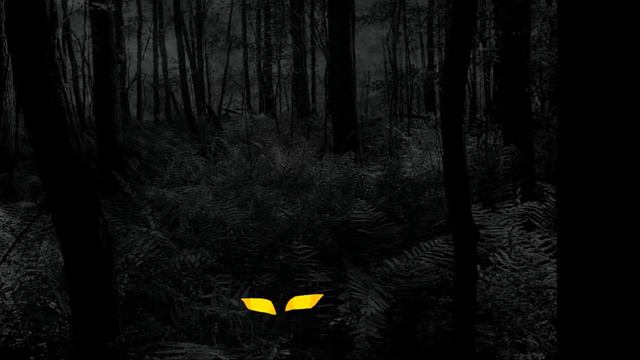 Шерлок Сэмми/ Моё первое видео смотреть онлайн