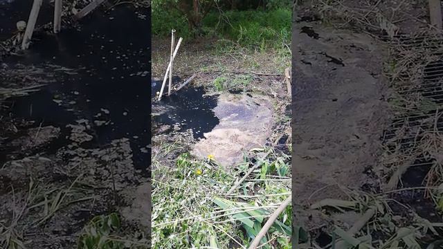 Посёлок зеленоградский река скалба смотреть онлайн